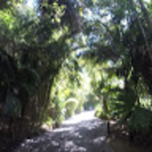 Meet your Posher, Sofia